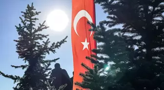 İstanbul'da 'Milli Ağaçlandırma Günü'nde 8 bin 900 fidan dikildi