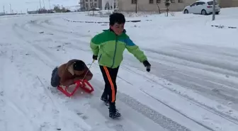 Kars'ta kızağını kapan çocuklar kaymaya koştu