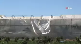 Mersin'de fırtına seraları vurdu