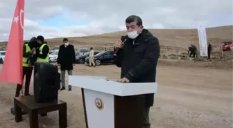 'Milli Ağaçlandırma Günü'nde fidanlar toprakla buluşturuldu