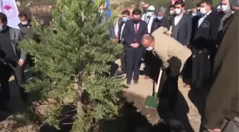 Milli Ağaçlandırma Günü'nde fidanlar toprakla buluştu