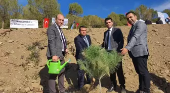 Nazilli'de Milli Ağaçlandırma Günü Etkinliği gerçekleştirildi