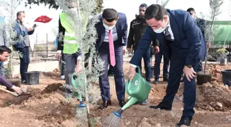 Nusaybin'de fidanlar toprakla buluştu
