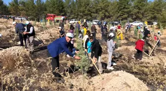Samsat'ta 2 bin 23 adet fidan toprakla buluştu