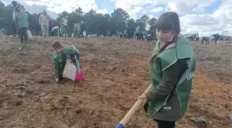 ŞİLE'DE, ESKİ MADEN OCAĞI ALANINDA FİDANLAR DİKİLDİ