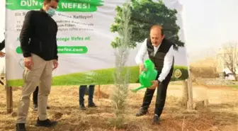 ŞIRNAK'TA 2 YILDA 250 BİN FİDAN DİKİLDİ