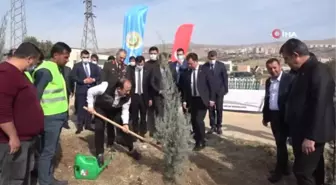 Şırnak'ta 56 bin fidan toprakla buluştu