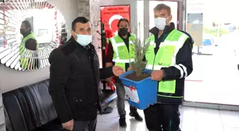 Talas Belediyesi'nden 2 bin 23 mavi ladin