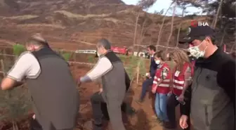 Tarım ve Orman Bakan Yardımcısı Fatih Metin, Marmaris'teki fidan dikme törenine katıldı