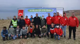 Tatvan'da 500 fidan toprakla buluşturuldu