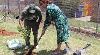 Yunus Emre Enstitüsü, Güney Afrika'da fidan dikme etkinliği düzenledi