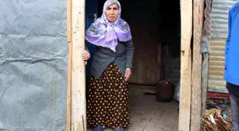 Bir asrı aşkın yaşına rağmen Covid'i yenmeyi başardı