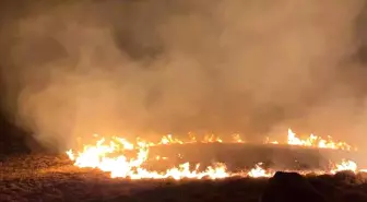 Bodrum'da aynı bölgede yine yangın çıktı