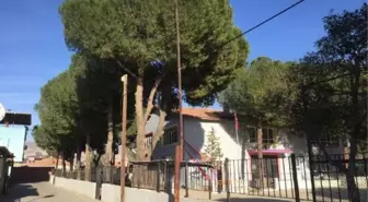 EMO İzmir Şubesi: Davut'un ölümü kaza olarak değerlendirilmemeli