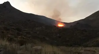 Son dakika haber... BODRUM'DA OTLUK ALANDA ÇIKAN YANGIN SÖNDÜRÜLDÜ