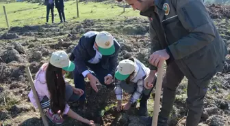 Sındırgı'da 86 bin fidan toprakla buluşuyor