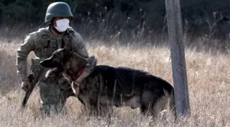 Türkiye ve Gürcistan'dan ortak sınır tatbikatı