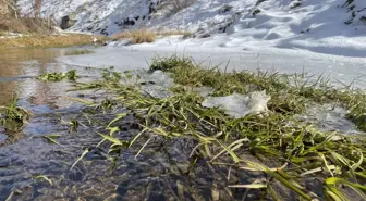 Bayburt'un yüksek kesimlerindeki derelerin yüzeyi buz tuttu