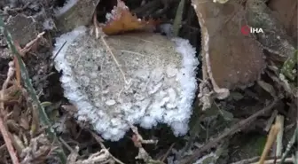 Ardahan'da soğuk hava etkili oluyor