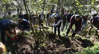 'Fındık Yetiştiriciliğinde Cep Teras Uygulama Projesi' verim ve kaliteyi artıracak