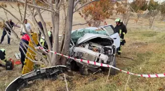 Köpeğe çarpmamak için kaza yapan otomobildeki kadın hayatını kaybetti