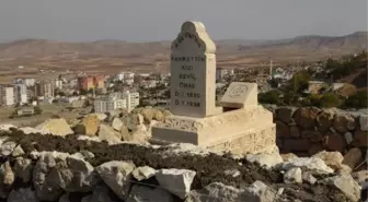 Geçmişi 1930'lu yıllara dayanıyor! Tepedeki küçük mezarın hikayesi yürek burkuyor