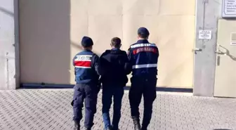 Son dakika haber! Burhaniye'de kanun kaçağını jandarma yakaladı