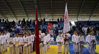 Uluslararası Judo Şampiyonası