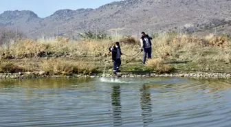 Aliağa Belediyesi vektörle mücadelesini sürdürüyor