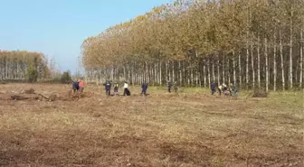 ARAZİ KAVGASINDA TABANCAYLA VURULAN BABA VE OĞLU ÖLDÜ