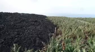 Cumbre Vieja Yanardağı'ndan çıkan lavlar 58 günde 2600'den fazla binayı yaktı