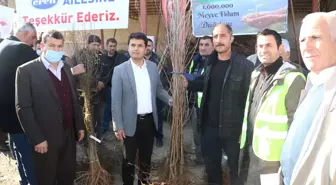 Güroymak'ta çiftçilere meyve fidanı dağıtıldı