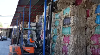 Forklift operatörü iki kadın fabrikanın 'yükü'nü taşıyor