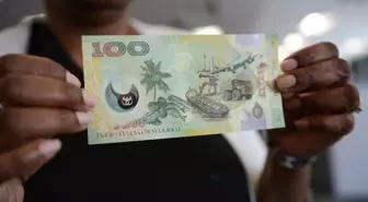 Şaka değil gerçek! Papua Yeni Gine kinası bile TL'yi 3'e katladı