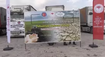 520 ton buğday tohumu dağıtıldı