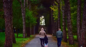 Atatürk Arboretumu'nda renk cümbüşü