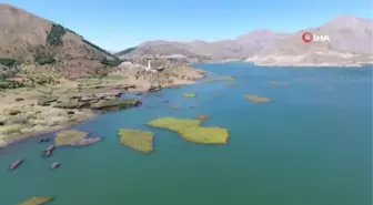 Binlerce yılda oluşan yüzen adaların su altı yapısı ilk kez görüntülendi