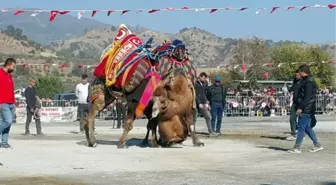 AYDIN'DA 1 YIL ARADAN SONRA DEVELER YENİDEN ARENADA