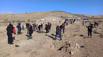 Son dakika gündem: Kahramankazan'da ağaçlandırma sahasına 2 bin fidan dikildi