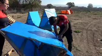 Arama kurtarma gönüllüleri sokak hayvanları için kulübe yaptı