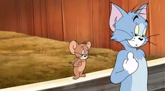 Çocuklar onlara bayılıyor! İşte Tom ve Jerry'nin gerçek kimlikleri