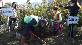 Giresun'da 'Fındık Fidancılığındaki Gelişmeler' etkinliği düzenlendi