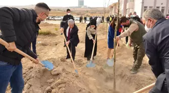 Bitlis'te şehit edilen öğretmen için Kırşehir'de oluşturulan hatıra ormanına fidan dikildi