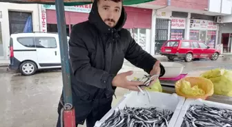 Hava koşulları hamsiyi etkiledi