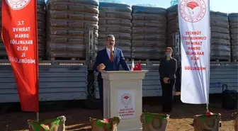 Kilis'te 520 ton buğday tohumu dağıtıldı