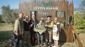 24'üncü Komili Zeytin Hasadı, kültür rotasının izinde gerçekleştirildi