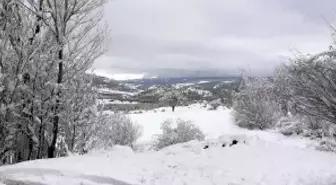 Erzincan'ın yüksek kesimleri kardan beyaza büründü