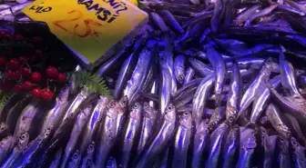 Yağışlar balık fiyatlarını uçurdu