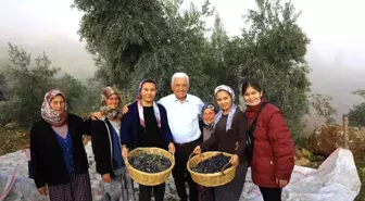 Başkan Gürün hasat yaptı, köylüyü uyardı