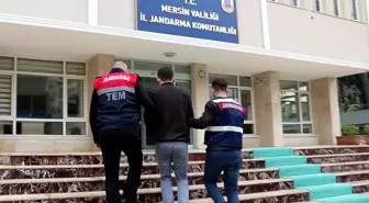 Mersin merkezli 4 ilde terör operasyonu: 4 gözaltı